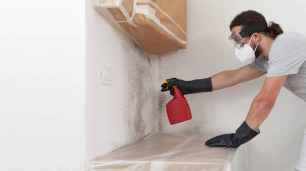 Professional Crawl Space Mold Remediation technician working in Stirling, NJ